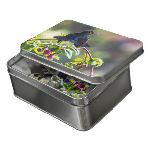 Costa Rica bird - Fiery-throated Hummingbird Jigsaw Puzzle