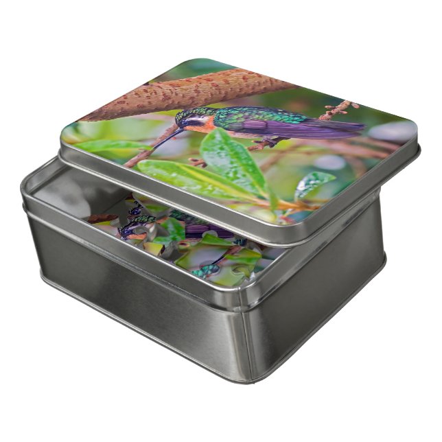 Costa Rica bird - Fiery-throated Hummingbird Jigsaw Puzzle (Lid Open)