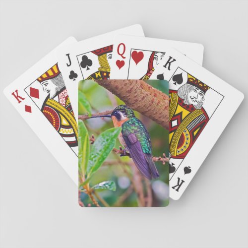 Costa Rica bird _ Fiery_throated Hummingbird Playing Cards