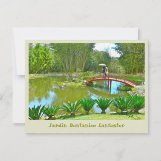 Costa Rica /Bontanical Park Postcard
