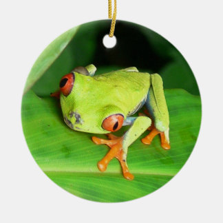 Costa Rica Ceramic Ornament