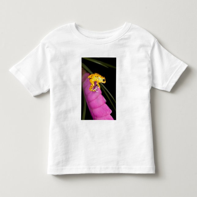 Costa Rica. Close-up of poison dart frog Toddler T-shirt (Front)