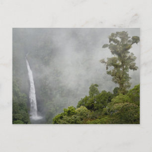 Costa Rica, cloud forest in mountains near La Postcard