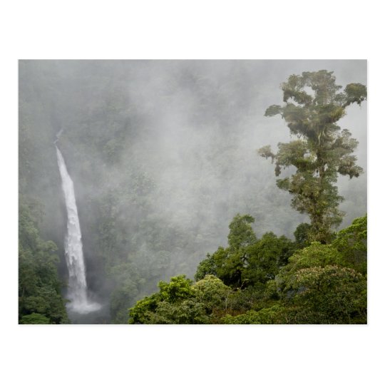 Costa Rica, cloud forest in mountains near La Postcard