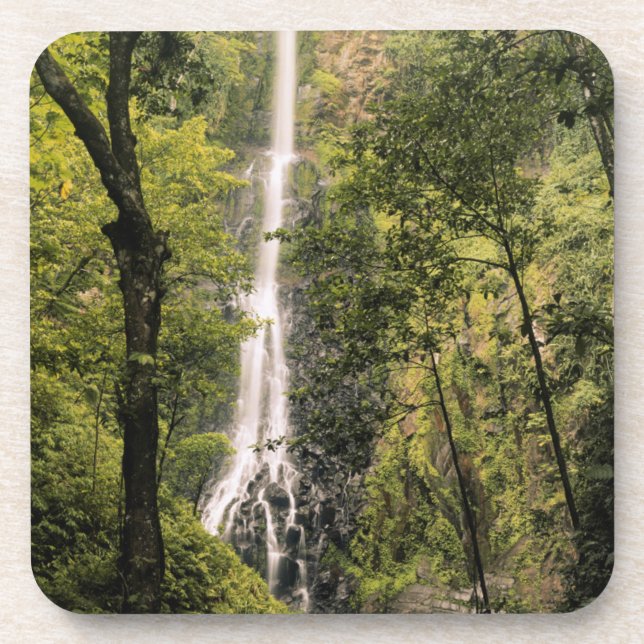 Costa Rica, Cocos Island, Wafer Bay Waterfall Beverage Coaster (Front)
