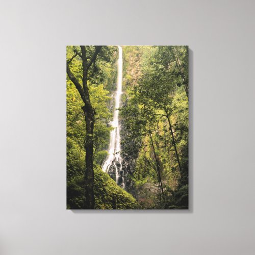 Costa Rica Cocos Island Wafer Bay Waterfall Canvas Print