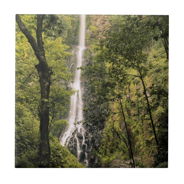 Costa Rica, Cocos Island, Wafer Bay Waterfall Ceramic Tile (Front)