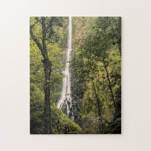 Costa Rica Cocos Island Wafer Bay Waterfall Jigsaw Puzzle