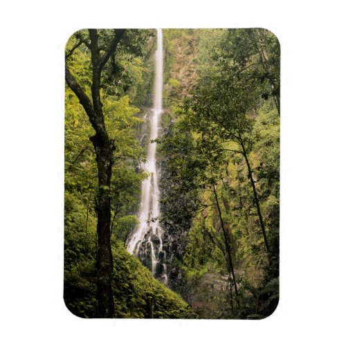 Costa Rica Cocos Island Wafer Bay Waterfall Magnet