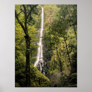 Costa Rica, Cocos Island, Wafer Bay Waterfall Poster