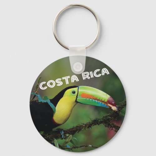 Costa Rica Colorful Toucan Bird Keychain