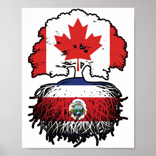 Costa Rica Costa Rican Canadian Canada Tree Roots Poster