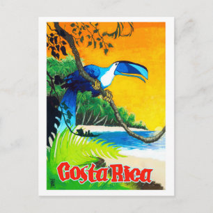 Costa Rica, exotic parrot on the beach, vintage Postcard