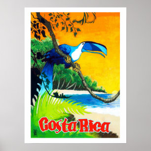 Costa Rica, exotic parrot on the beach, vintage Poster