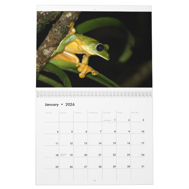 Costa Rica Frogs Calendar (Jan 2026)