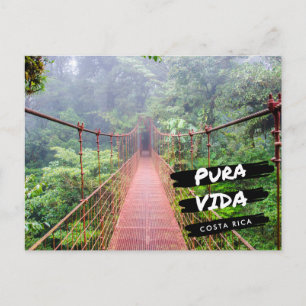 Costa Rica Hanging Bridges Vacation Postcard