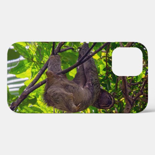 Costa Rica _ Happy  Lazy Sloth Antonio Manuel NP iPhone 12 Case
