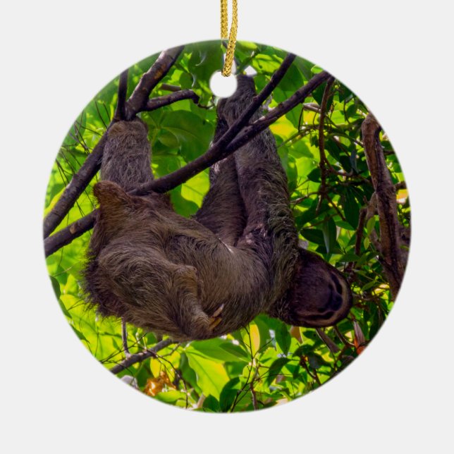 Costa Rica - Happy  Lazy Sloth, Antonio Manuel NP Ceramic Ornament (Front)