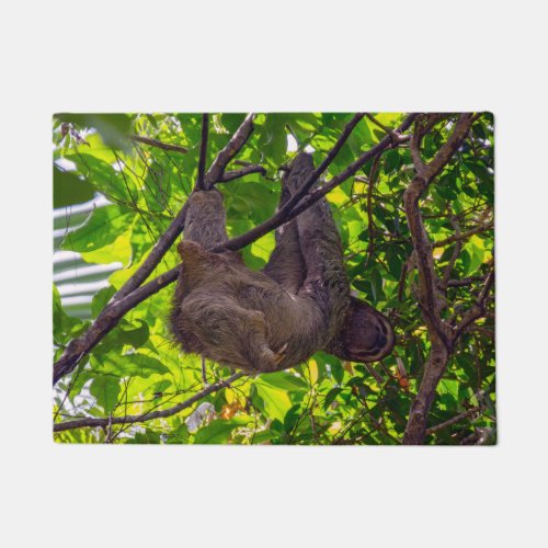Costa Rica _ Happy  Lazy Sloth Antonio Manuel NP  Doormat