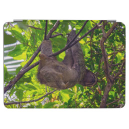 Costa Rica - Happy  Lazy Sloth, Antonio Manuel NP iPad Air Cover