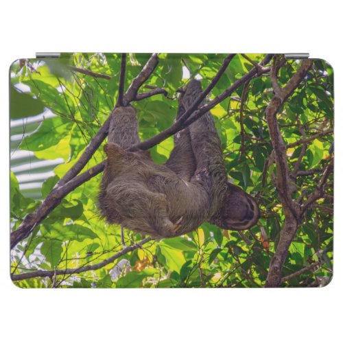 Costa Rica _ Happy  Lazy Sloth Antonio Manuel NP iPad Air Cover