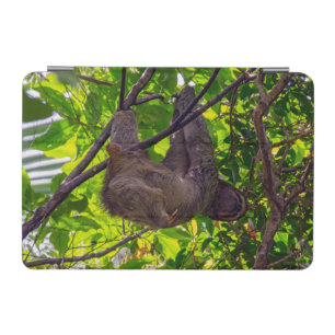 Costa Rica - Happy Lazy Sloth, Antonio Manuel NP iPad Mini Cover
