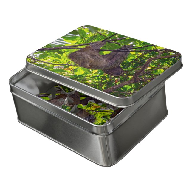 Costa Rica - Happy  Lazy Sloth, Antonio Manuel NP Jigsaw Puzzle (Lid Open)