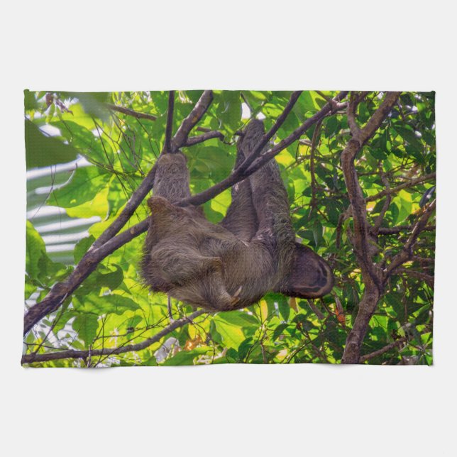 Costa Rica - Happy  Lazy Sloth, Antonio Manuel NP Kitchen Towel (Horizontal)