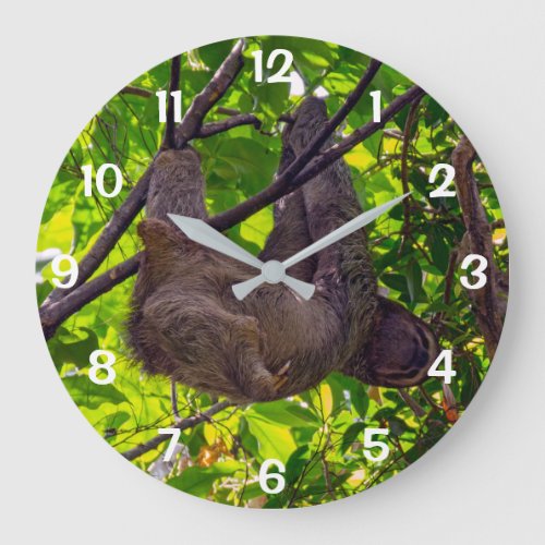 Costa Rica _ Happy  Lazy Sloth Antonio Manuel NP Large Clock