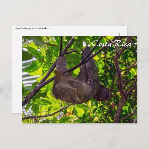 Costa Rica _ Happy  Lazy Sloth Antonio Manuel NP Postcard