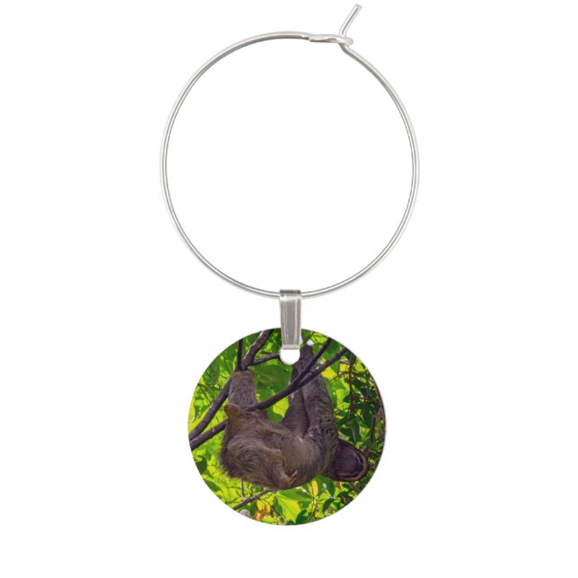 Costa Rica - Happy  Lazy Sloth, Antonio Manuel NP Wine Charm (Front)