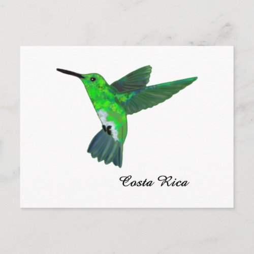 Costa Rica Hummingbird Postcard