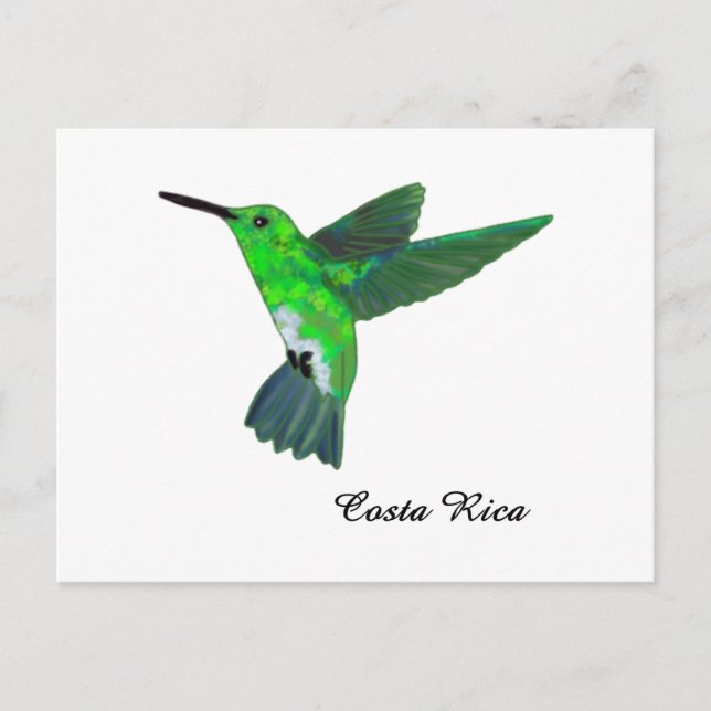Costa Rica Hummingbird Postcard (Front)