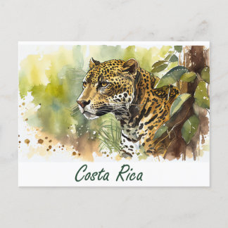 Costa Rica Jaguar Postcard