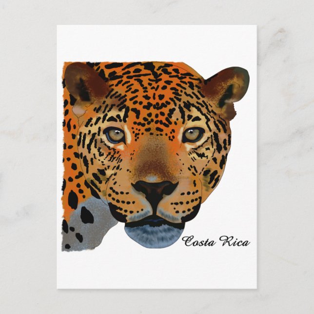 Costa Rica Jaguar Postcard (Front)