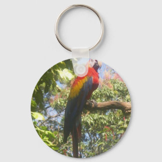 Costa Rica Macaw Keychain