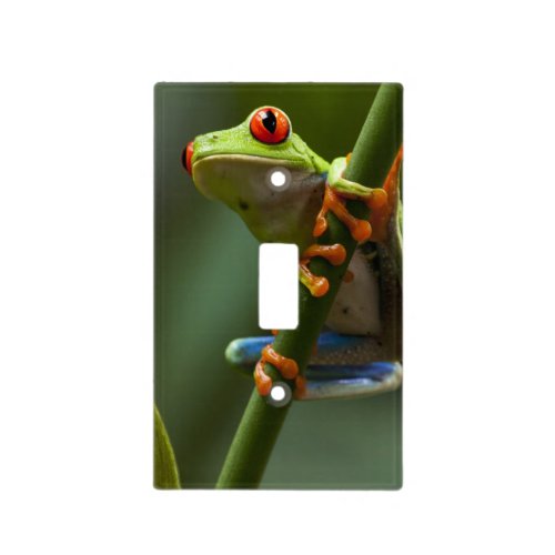 Costa Rica Monteverde Red_Eyed Tree Frog Light Switch Cover