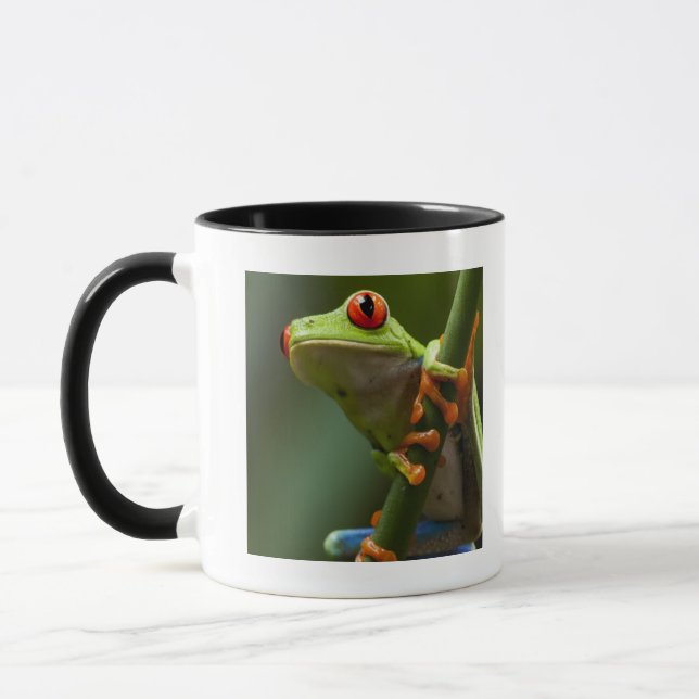 Costa Rica, Monteverde, Red-Eyed Tree Frog Mug (Left)