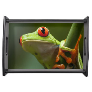 Costa Rica, Monteverde, Red-Eyed Tree Frog Serving Tray