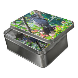 Costa Rica, Muelle - Lazy Iguana resting in a tree Jigsaw Puzzle