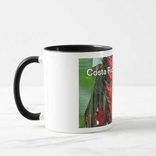 Costa Rica mug