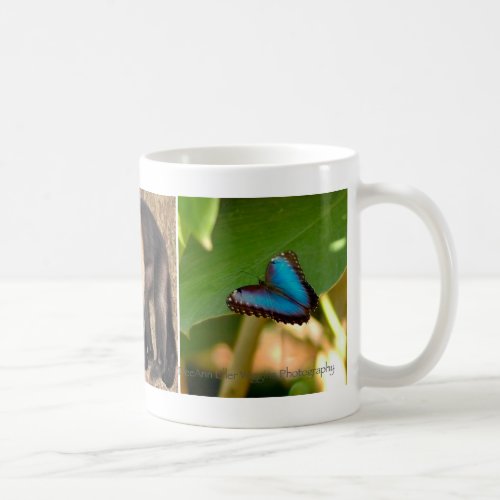 Costa Rica mug