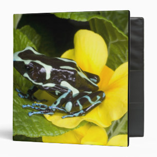 Costa Rica, Osa Peninsula Binder