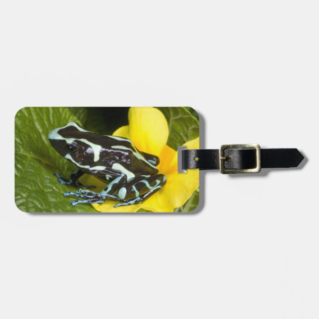 Costa Rica, Osa Peninsula Luggage Tag (Front Horizontal)