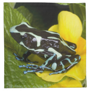 Costa Rica, Osa Peninsula Napkin