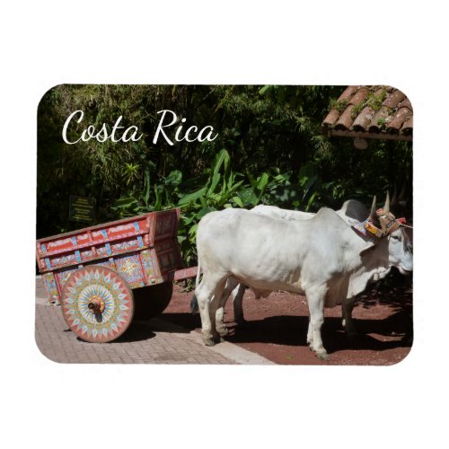 Costa Rica Oxcart Magnet