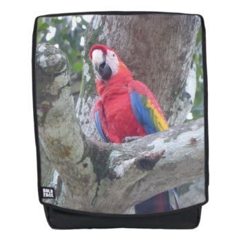 Costa Rica Parrot Jungle Bird Adult Backpack by Edelhertdesigntravel at Zazzle