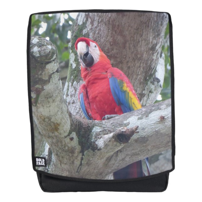 Costa Rica Parrot Jungle Bird Adult Backpack (Front)