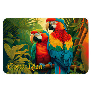 Costa Rica Parrots Magnet