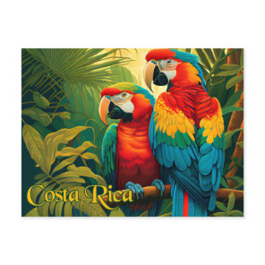 Costa Rica Parrots Postcard